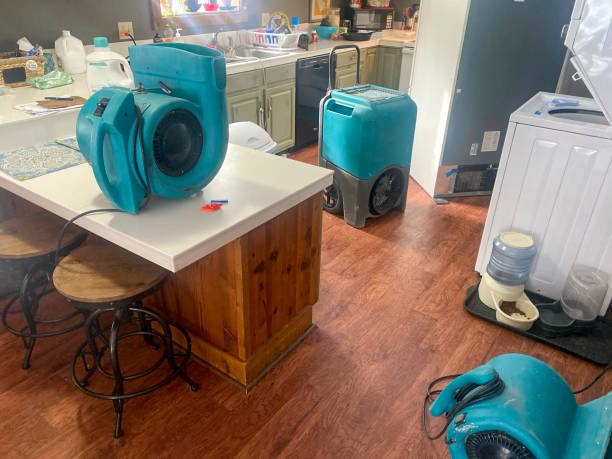 Best Flood damage cleanup  in Cupertino, CA