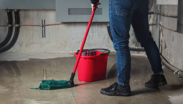 Best Basement water damage restoration  in Cupertino, CA