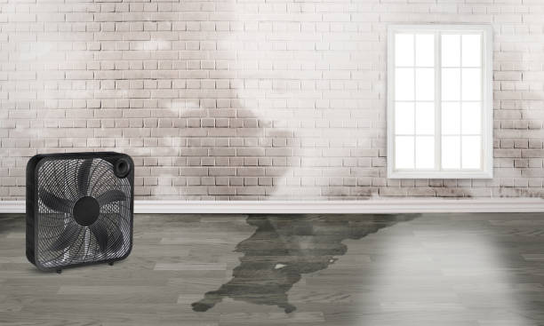 Best Commercial water damage restoration  in Cupertino, CA