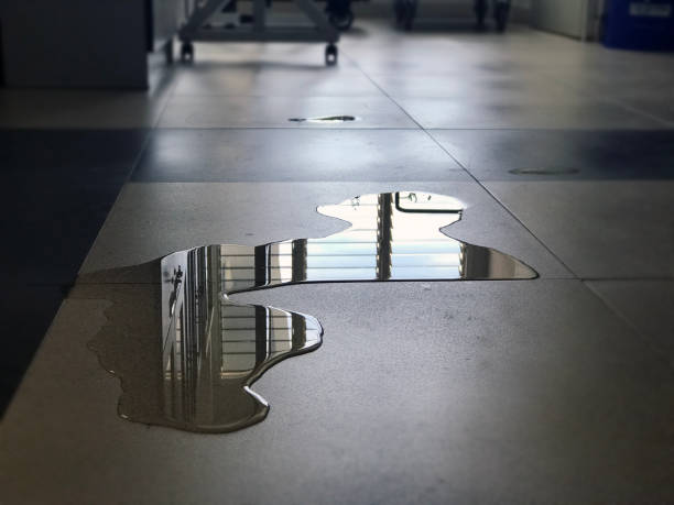 Best Water damage restoration specialists  in Cupertino, CA