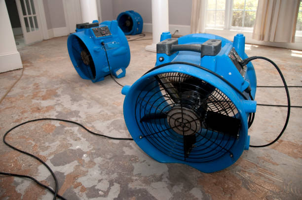 Best Water damage contractors near me  in Cupertino, CA