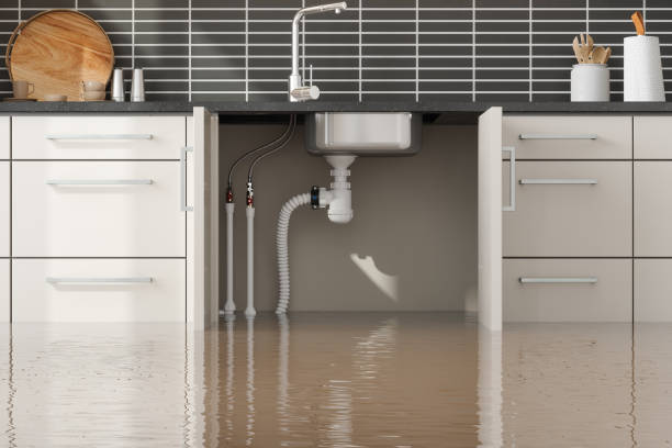 Best Water damage restoration near me  in Cupertino, CA