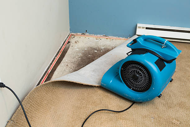 Best Carpet water damage restoration  in Cupertino, CA